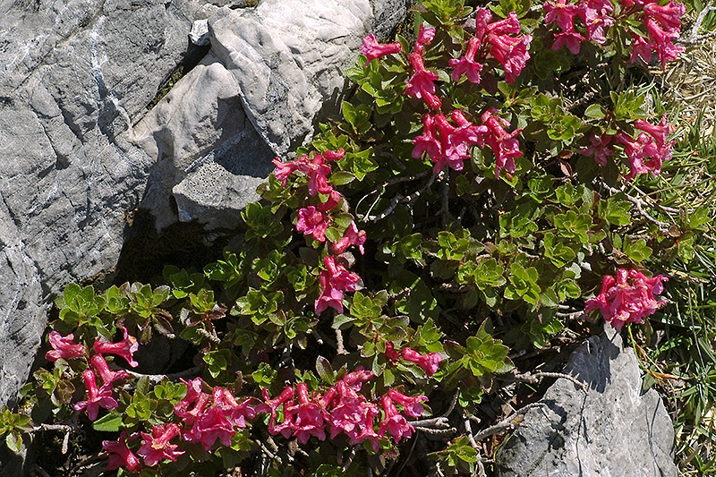 L1002242