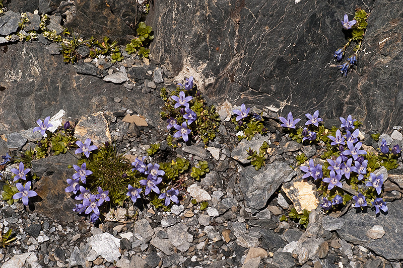 L1002562