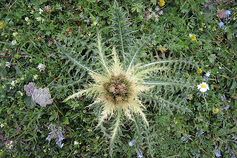 N1013389