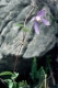 Gardaseeberge - 24.5.1989