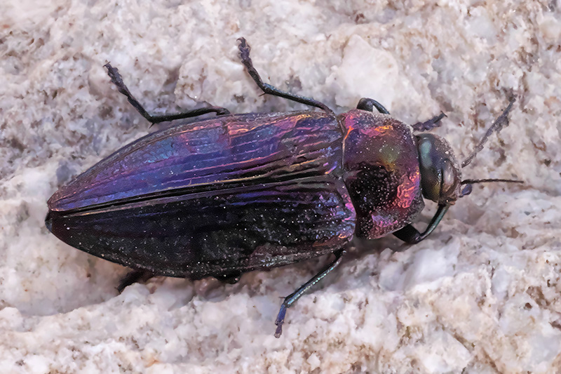 P1038731