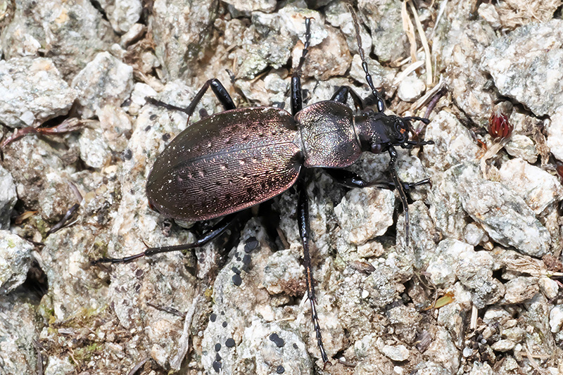 P1039337