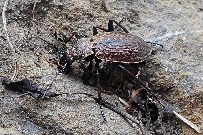 P1041508